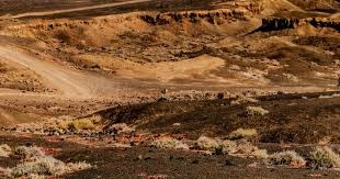 巴塞罗那主场战胜马德里竞技